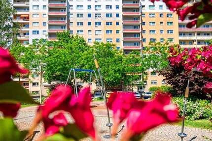 Top-sanierte 1-Raum-Wohnung in schöner Lage 1 zimmer