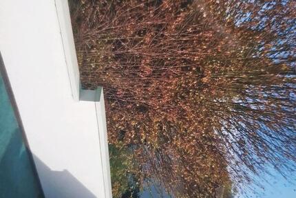 Wohnung Schauenburg - 2 Zimmer, 63 m&sup2;, 630&euro; | Angebot:25171293