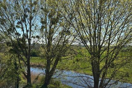 Wohnung Seehausen (Altmark) - 3 Zimmer, 70 m&sup2;, 360&euro; | Angebot:25887242