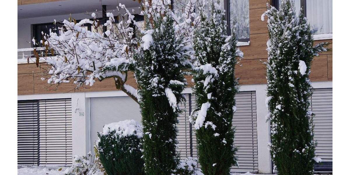 Etagenwohnung Bodman-Ludwigshafen Bodman - 3 Zimmer, 97 m&sup2;, 1.600&euro; | Angebot:25698576