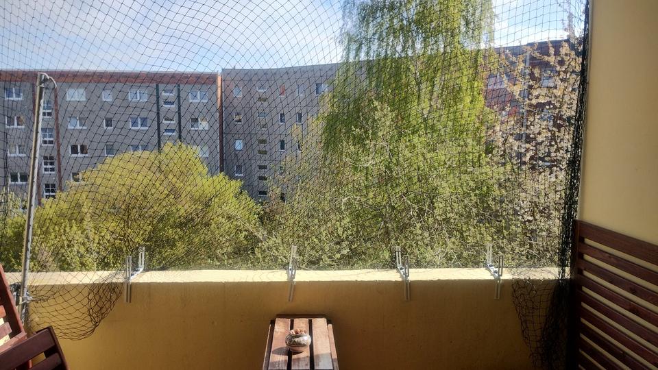 Etagenwohnung Rostock Gehlsdorf - 3 Zimmer, 63 m&sup2;, 480&euro; | Angebot:26561645