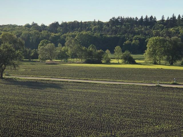 Gewerbeobjekt Leonberg - 450&euro; | Angebot:25208053