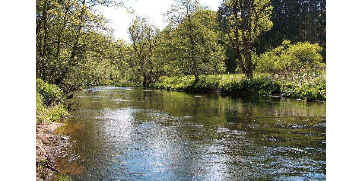 Dachgeschoßwohnung Birresborn - 4 Zimmer, 100 m&sup2;, 650&euro; | Angebot:26006248