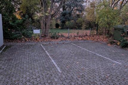 Gewerbeobjekt Mainz Gonsenheim - 50&euro; | Angebot:24401808