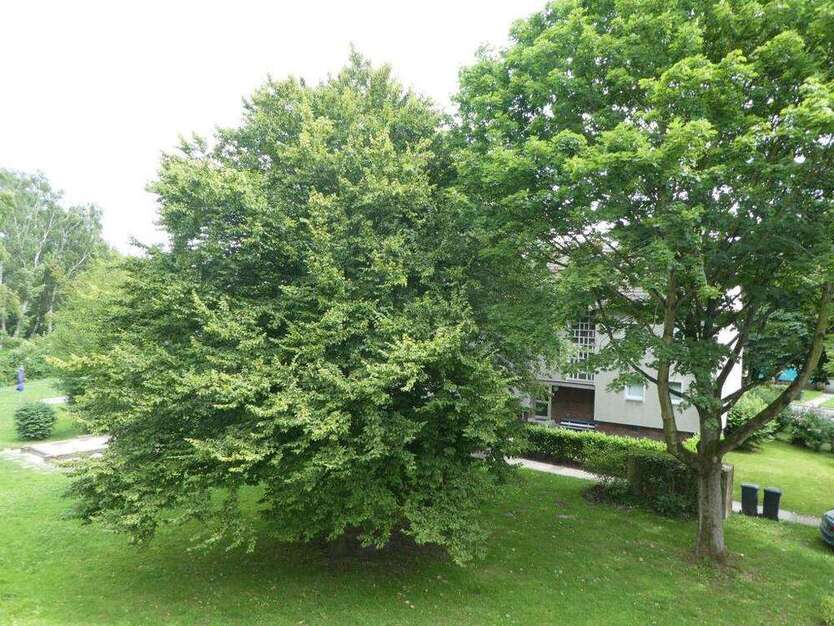 Wohnung zum Mieten in Gelsenkirchen 399 € 49.69 m²