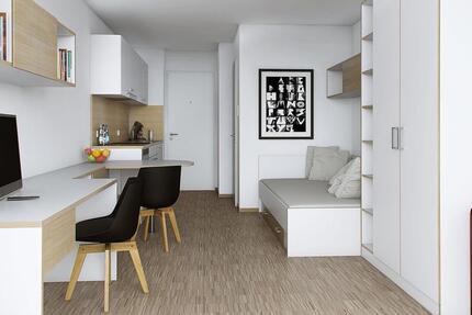 Wohnen auf Zeit Mainz Gonsenheim - 1 Zimmer, 23 m&sup2;, 655&euro; | Angebot:24610647