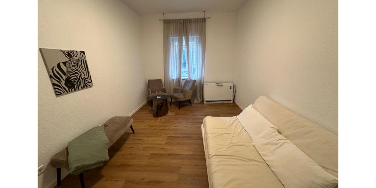 Wohnen auf Zeit Nürnberg Kleinweidenmühle - 1 Zimmer, 29 m&sup2;, 800&euro; | Angebot:23834265