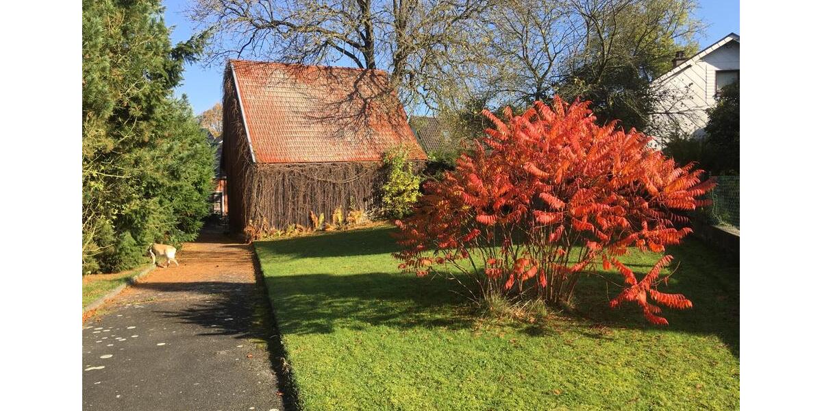 Einfamilienhaus Schwarzenbach an der Saale Fletschenreuth - 8 Zimmer, 150 m&sup2;, 1.000&euro; | Angebot:24660614