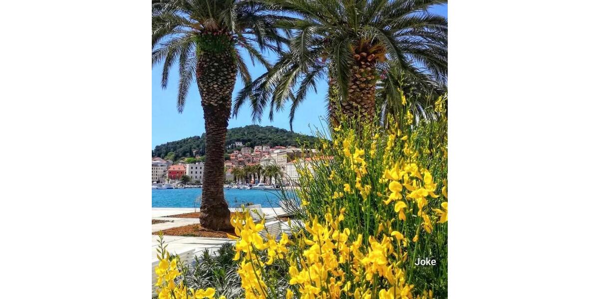 Erdgeschoßwohnung Bad Vilbel - 2 Zimmer, 40 m&sup2;, 80&euro; | Angebot:24803572