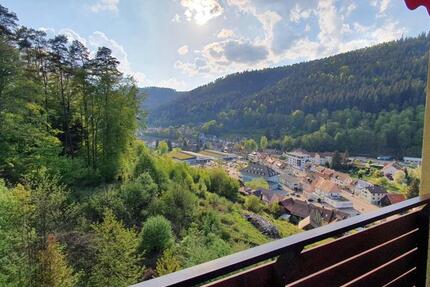 Heimelige 1-Zimmer-Wohnung mit traumhaftem Fernblick & Waldnähe 2 zimmer