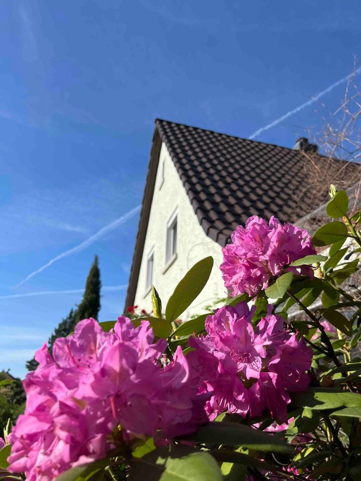 Zwischenvermietung! Sonnige 2-Zimmerwohnung mit Balkon nahe Frank