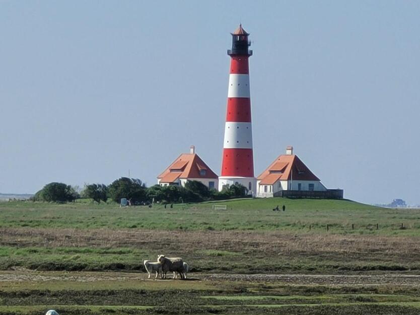 Große Fewo, auch mit Hund in Nordsee Nähe, gut und günstig.