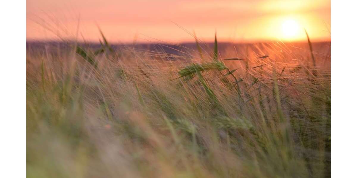 Etagenwohnung Schwedt/Oder OT Passow Passow - 3 Zimmer, 58 m&sup2;, 365&euro; | Angebot:26093084