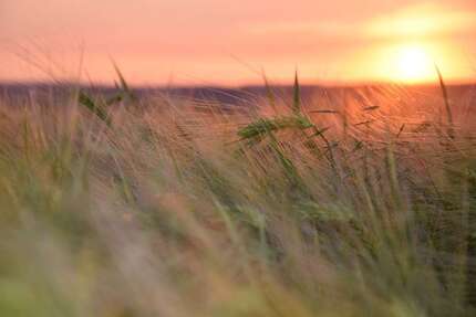 Wohnung Schwedt/Oder OT Passow Passow - 3 Zimmer, 58 m&sup2;, 365&euro; | Angebot:26093084