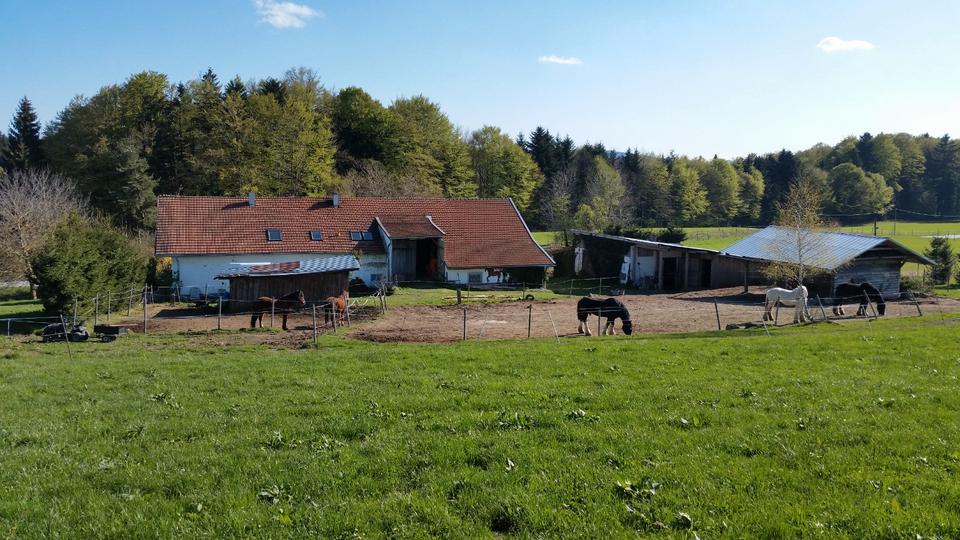 Erdgeschoßwohnung Jandelsbrunn - 2 Zimmer, 55 m&sup2;, 350&euro; | Angebot:26546221