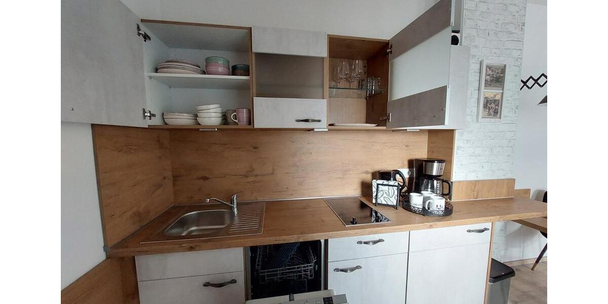 Wohnen auf Zeit Altenburg - 1 Zimmer, 35 m&sup2;, 820&euro; | Angebot:23152030