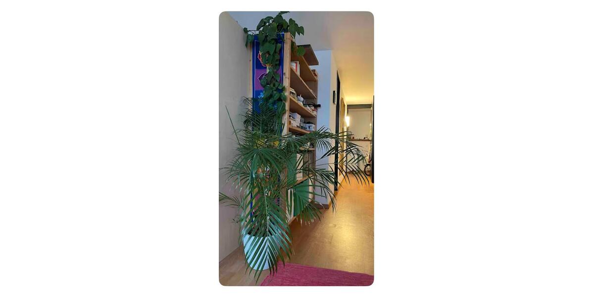 Wohnen auf Zeit Horn-Bad Meinberg Bad Meinberg - 1 Zimmer, 25&euro; | Angebot:19829311