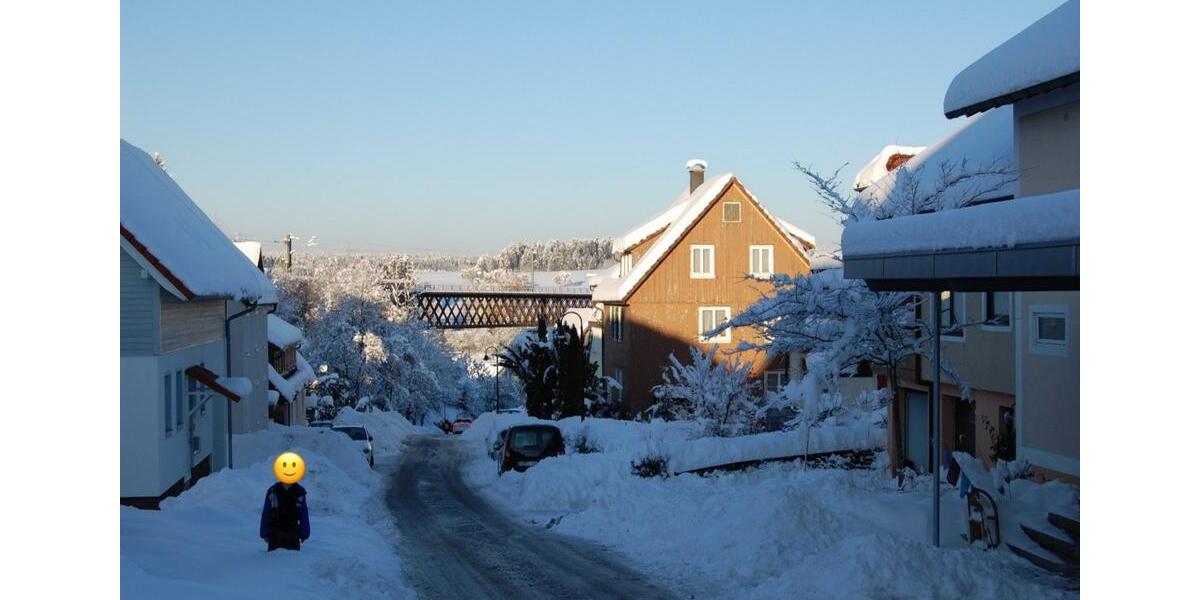 Wohnen auf Zeit Freudenstadt - 1 Zimmer, 28 m&sup2;, 525&euro; | Angebot:25088480