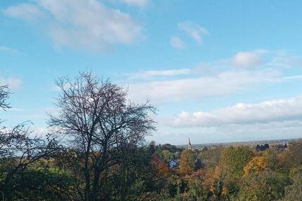 Wohnung Baden-Baden Lichtental - 4 Zimmer, 196 m&sup2;, 1.400&euro; | Angebot:26031768