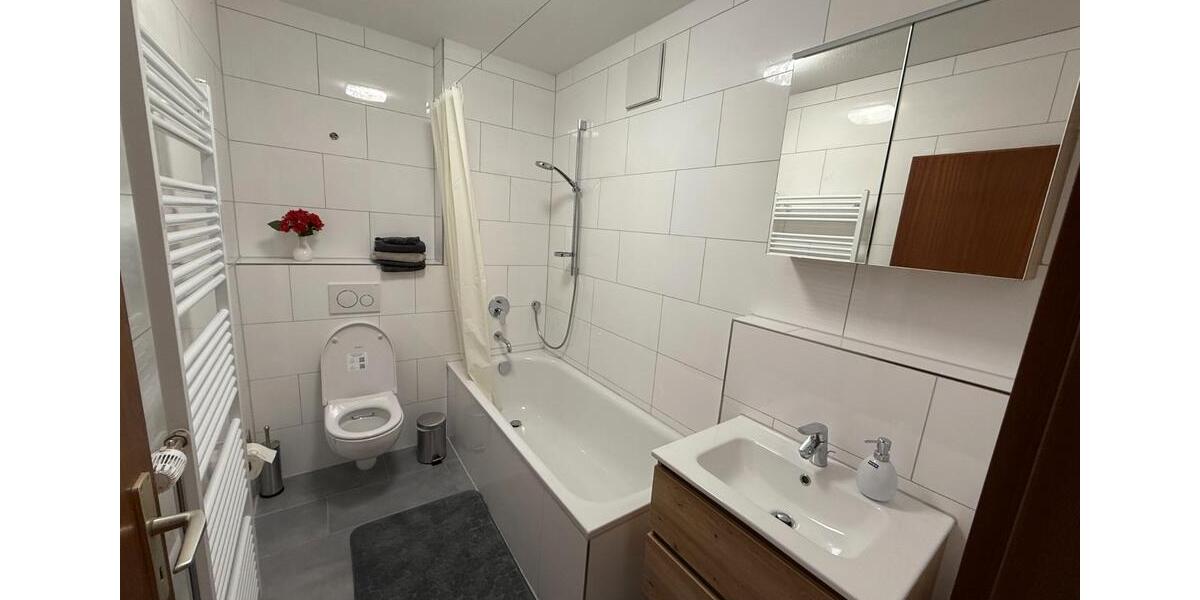 Wohnen auf Zeit Dossenheim - 1 Zimmer, 25 m&sup2;, 850&euro; | Angebot:26257844