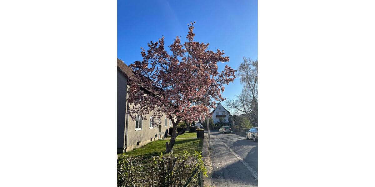 Erdgeschoßwohnung Goslar - 3 Zimmer, 77 m&sup2;, 725&euro; | Angebot:26518218