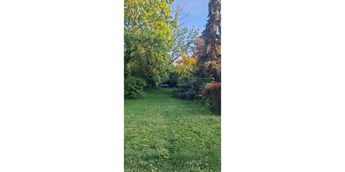 Etagenwohnung Bautzen - 3 Zimmer, 60 m&sup2;, 550&euro; | Angebot:26631309