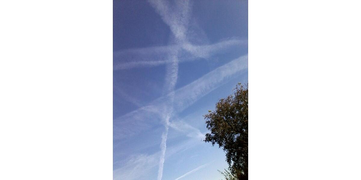 Erdgeschoßwohnung Teterow - 1 Zimmer, 42 m&sup2;, 320&euro; | Angebot:25026454