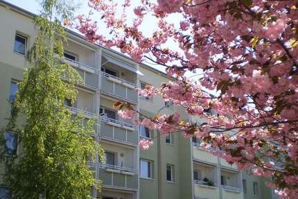 Wohnung zum Mieten in Gera 275 € 48.21 m² 2 zimmer