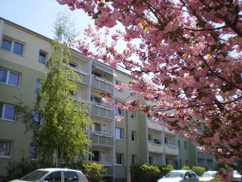 Wohnung zum Mieten in Gera 275 € 48.21 m² 2 zimmer
