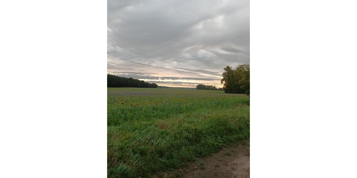 Mitbewohner:innen für spirituelles Zentrum in der Altmark 1 zimmer
