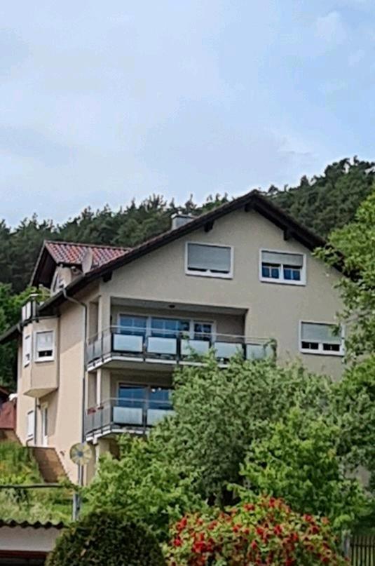Schöne Wohnung in Hainstadt zu vermieten zimmer