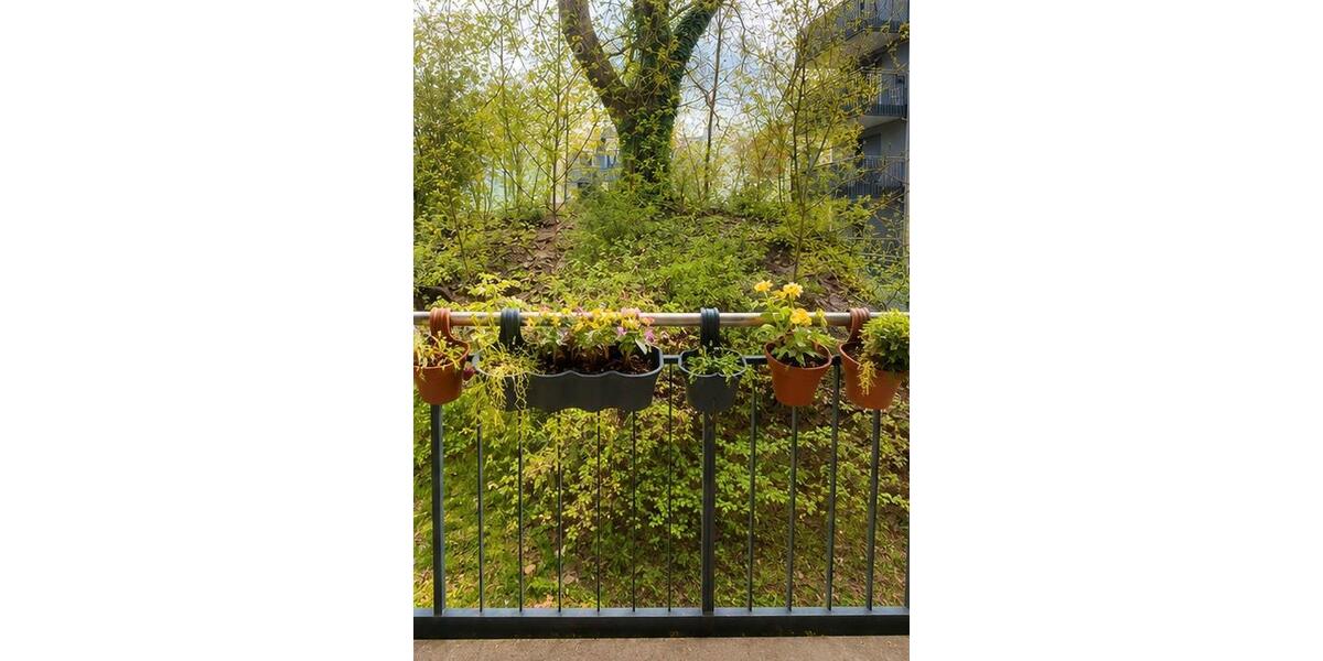 Wohnen auf Zeit Gießen - 1 Zimmer, 17 m&sup2;, 428&euro; | Angebot:26701542