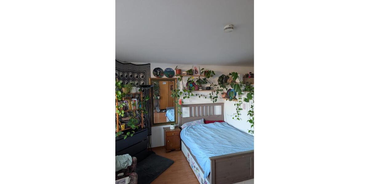 1 Zimmerwohnung zur Zwischenmiete (10.02.-10.04.) zu vergeben 1 zimmer