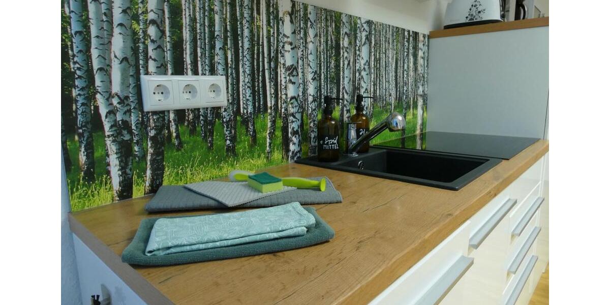 Wohnen auf Zeit Greifswald - 5 Zimmer, 110 m&sup2;, 220&euro; | Angebot:26397494