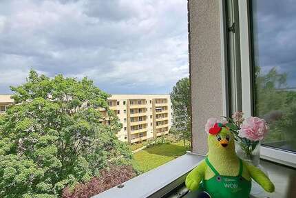 Wohnung Magdeburg Reform - 4 Zimmer, 66 m&sup2;, 383&euro; | Angebot:27064014