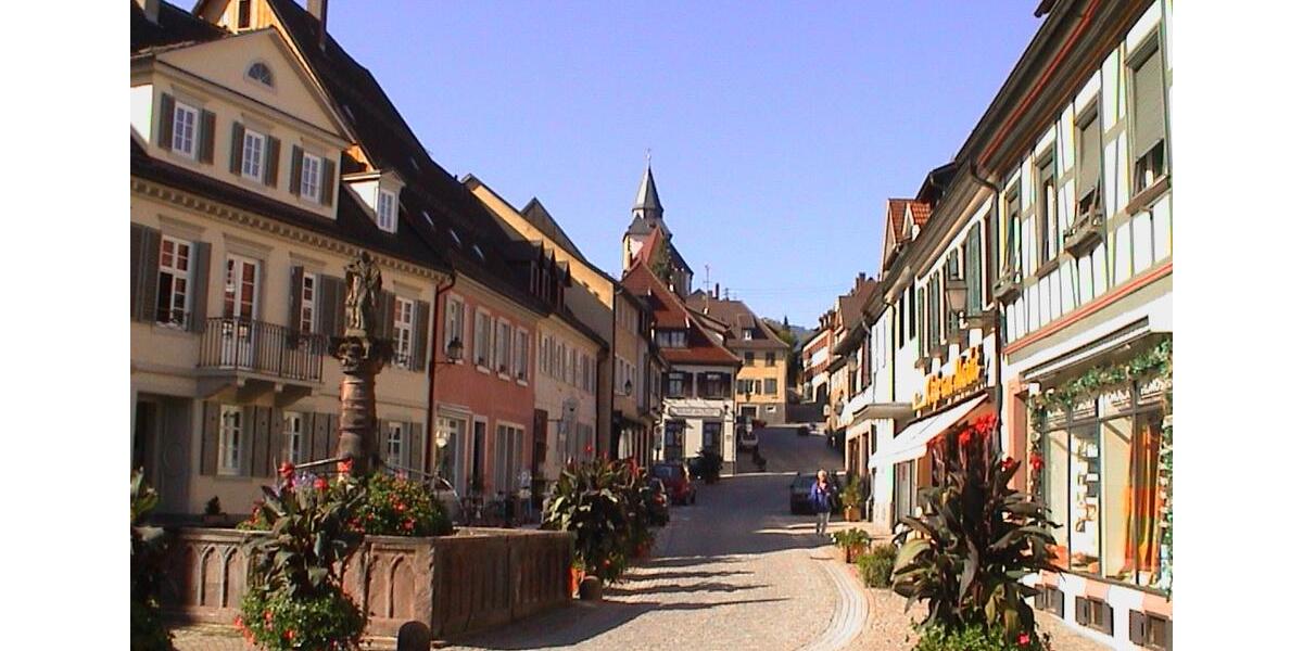 Wohnen auf Zeit Gernsbach - 1.5 Zimmer, 25 m&sup2;, 950&euro; | Angebot:24983318