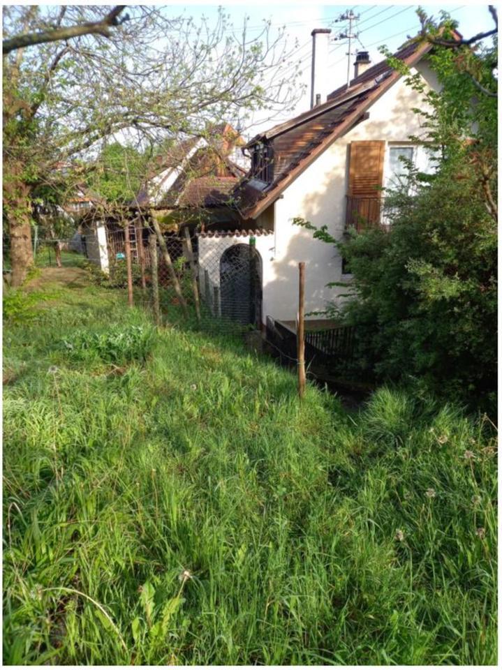 WG 1-Zimmer 20 m² mit Balkon in Offenburg Zell Weierbach zimmer