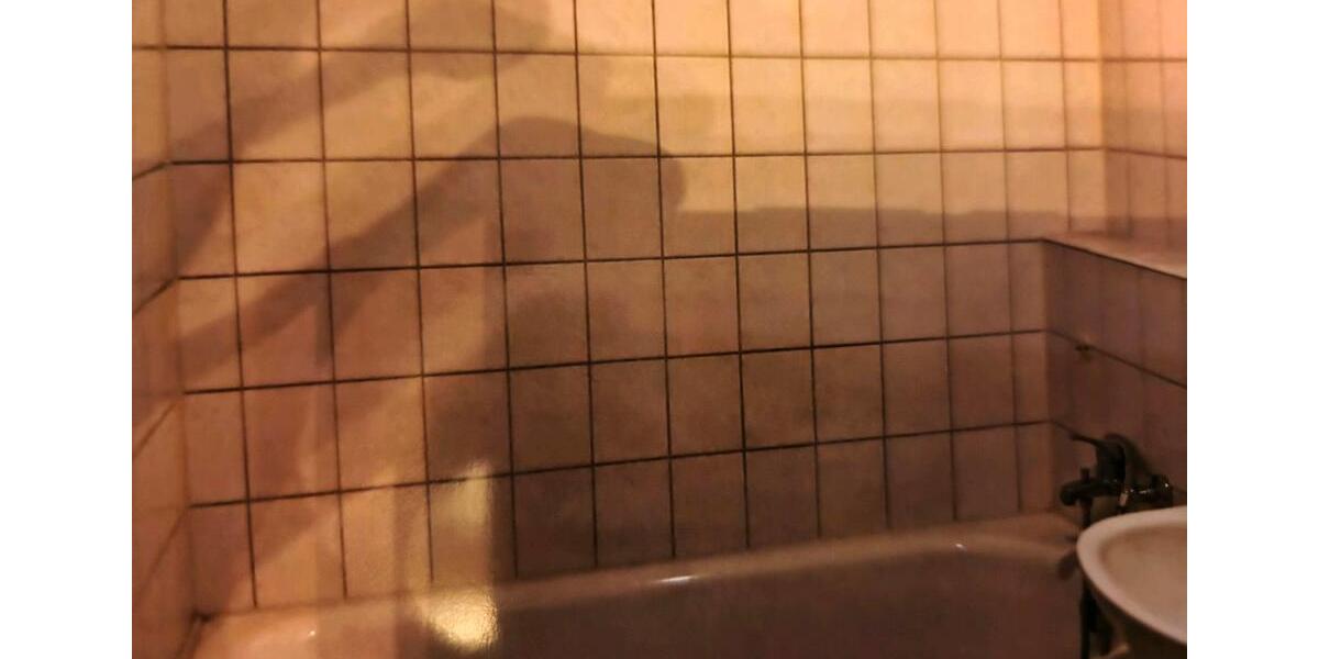 Eigentumswohnung (Sidonienhof) in Werdau 1 zimmer