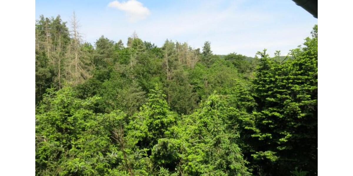 Wohnen auf Zeit Edertal - 3 Zimmer, 73 m&sup2;, 850&euro; | Angebot:24691676