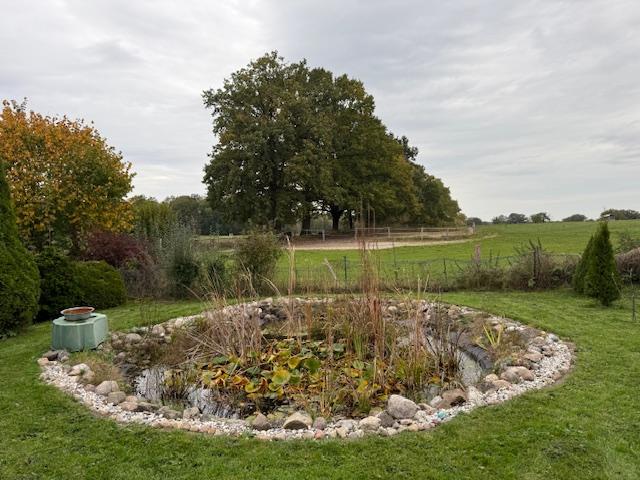 Doppelhaushälfte Bargteheide - 3 Zimmer, 134 m&sup2;, 2.000&euro; | Angebot:24487431