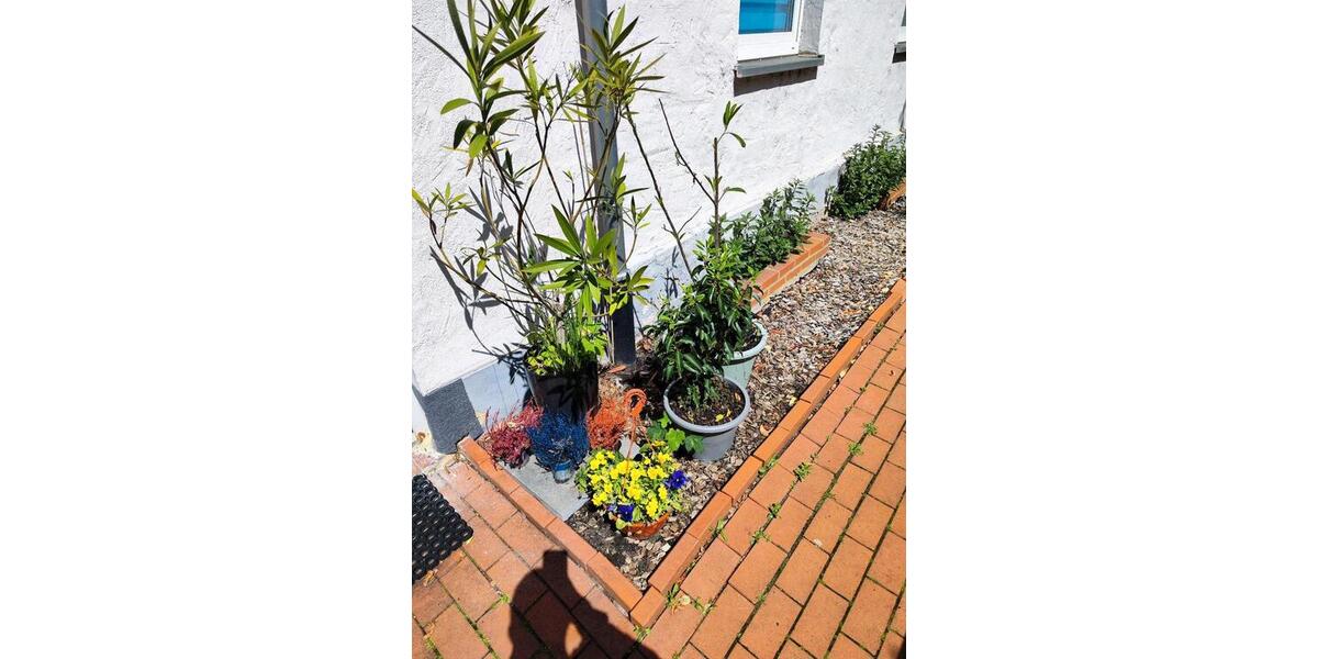 Erdgeschoßwohnung Brandenburg an der Havel Bahnhofsvorstadt - 1 Zimmer, 25 m&sup2;, 400&euro; | Angebot:24443401