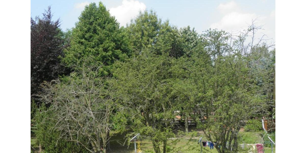 Etagenwohnung Pockau-Lengefeld Lengefeld - 3 Zimmer, 68 m&sup2;, 340&euro; | Angebot:24523678