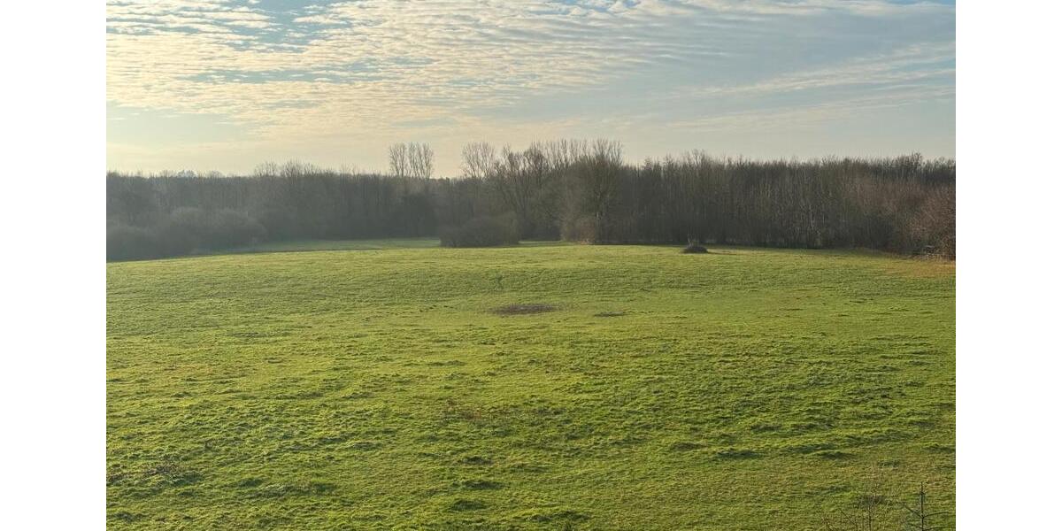 Wohnung zu vermieten 3 zimmer