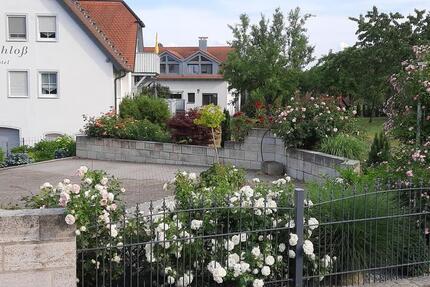 Wohnung Windelsbach - 1 Zimmer, 30 m&sup2;, 300&euro; | Angebot:26049282