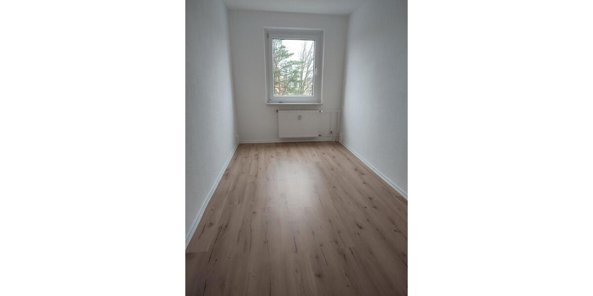 Etagenwohnung Bernsdorf - 3 Zimmer, 60 m&sup2;, 260&euro; | Angebot:19526210