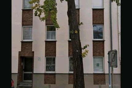 Schöne 3 Zimmerwohnung im Erdgeschoss zum 01.01.2026 zu vermieten zimmer