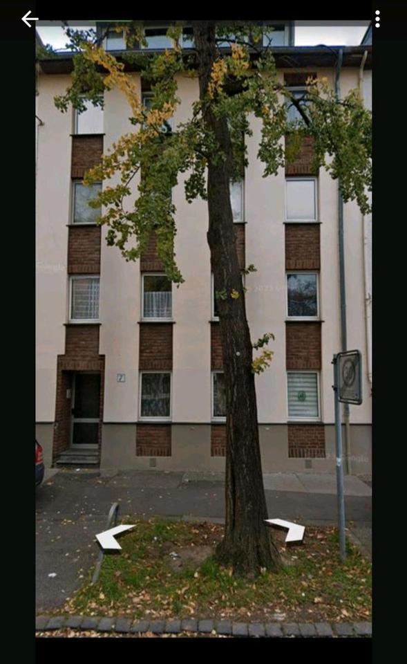 Schöne 3 Zimmerwohnung im Erdgeschoss zum 01.01.2026 zu vermieten zimmer