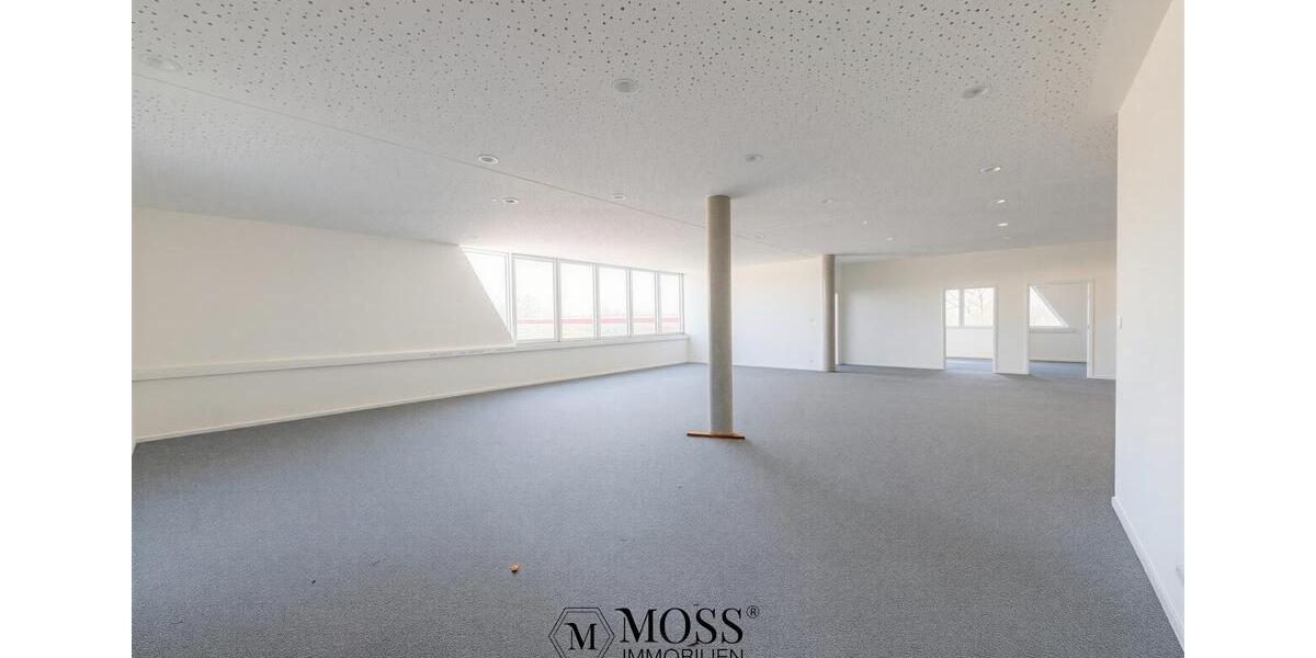 Gewerbeobjekt Bad Krozingen - 4.590&euro; | Angebot:26284879