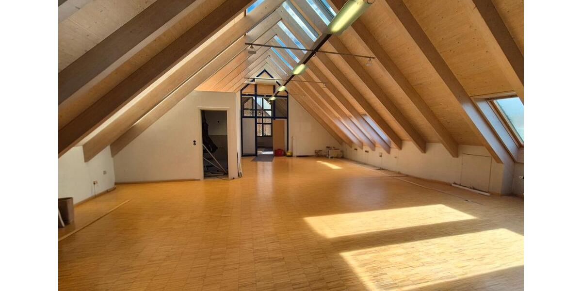 Loft - Studio - Atelier Eichstetten am Kaiserstuhl - 1 Zimmer, 120 m&sup2;, 1.350&euro; | Angebot:26373794
