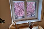 Etagenwohnung Ingolstadt Friedrichshofen-Hollerstauden - 3 Zimmer, 92 m&sup2;, 990&euro; | Angebot:26634315